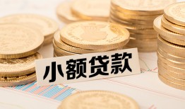 东莞无抵押哪里有小额贷款-东莞无抵押身份证贷款平台-东莞无抵押民间短借